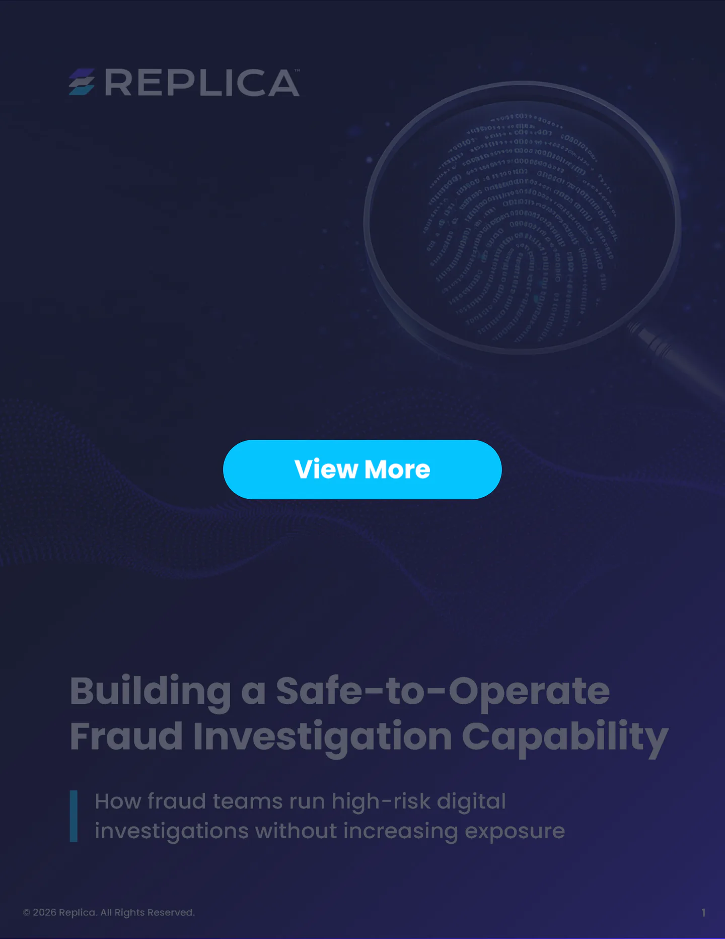 Building a Safe-to-Operate Fraud Investigation Capability (PDF)